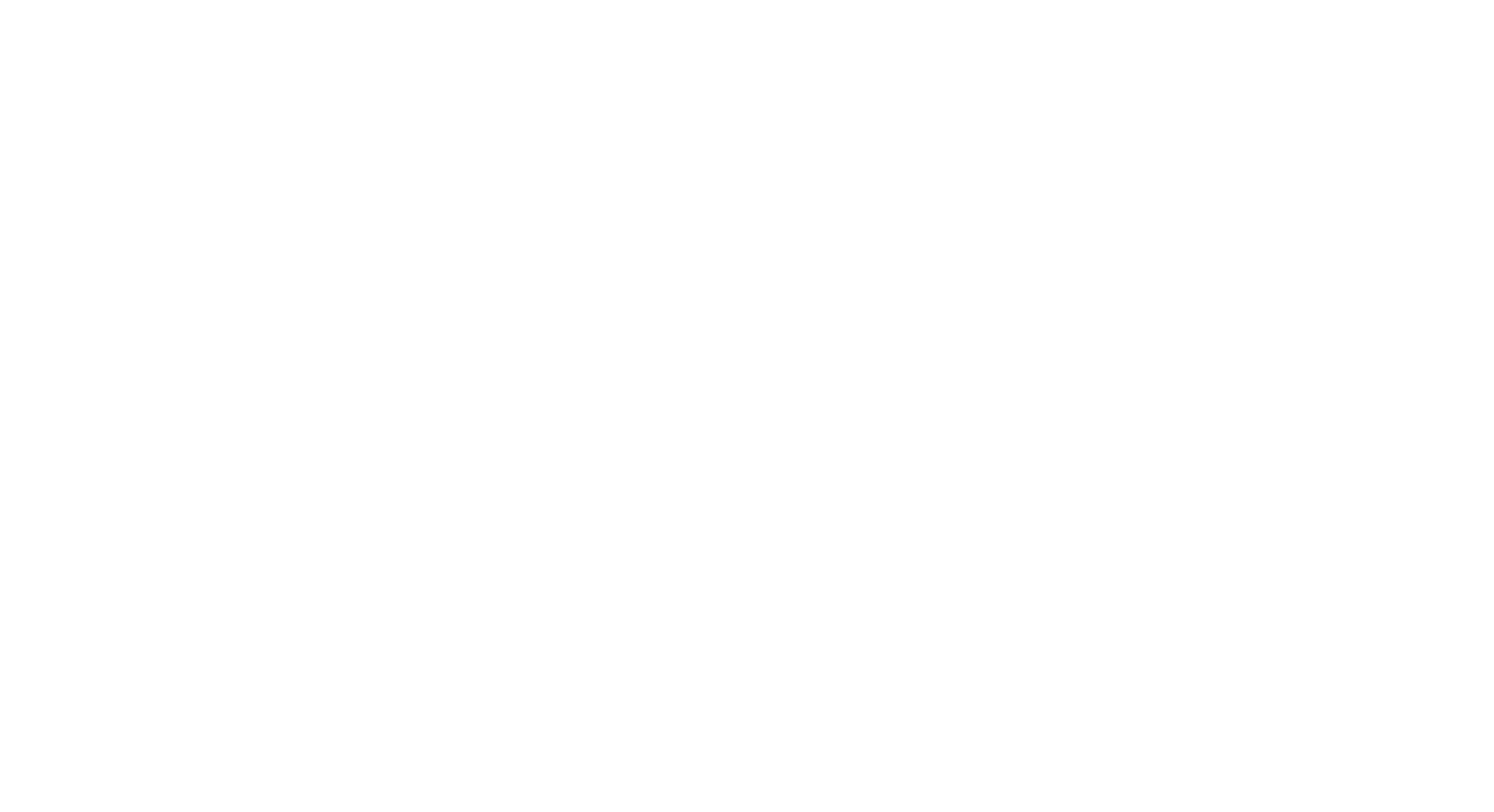 Official Selection MAGFest MIVS 2020